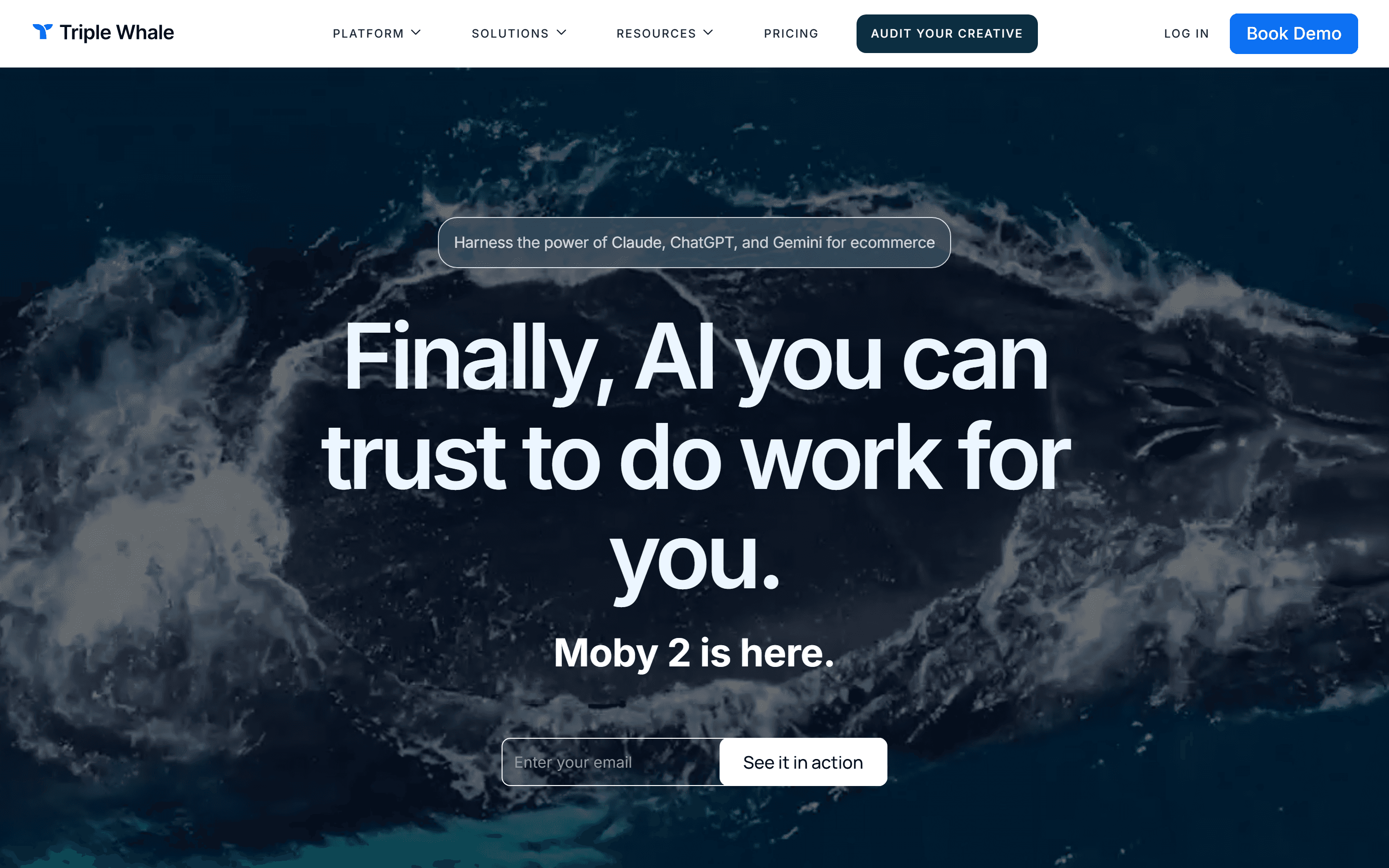 Triple Whale 2026 homepage — 'Finally, AI you can trust to do work for you' with Moby 2 positioning